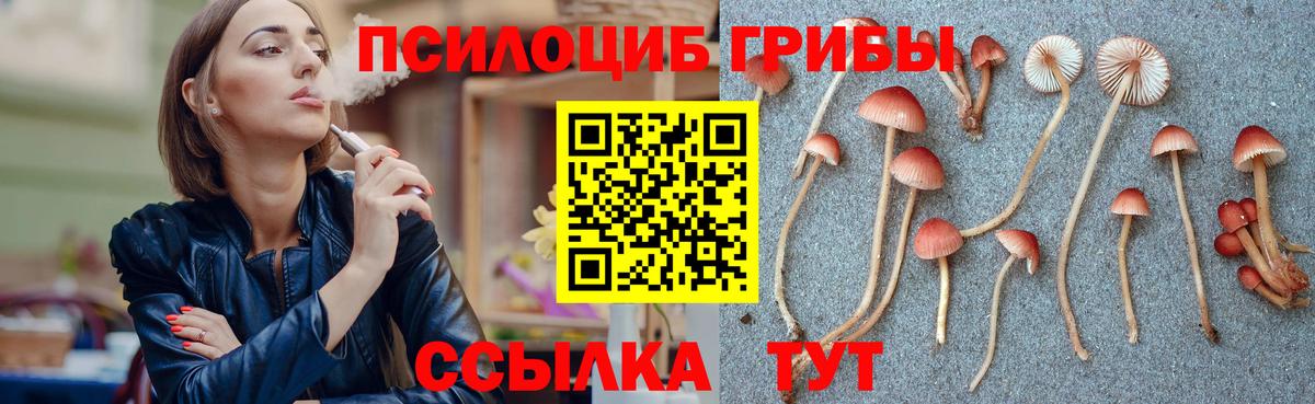 Галлюциногенные грибы прущие грибы Кулебаки