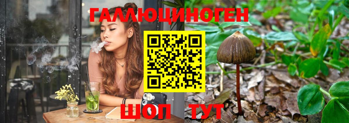 Кулебаки  Галлюциногенные грибы Psilocybine cubensis  Вход с VPN 